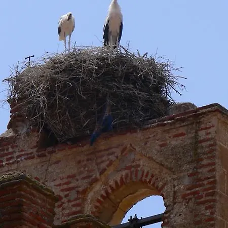 Rural Las Navas 3*