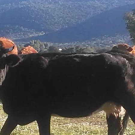 Rural Las Navas La Morera
