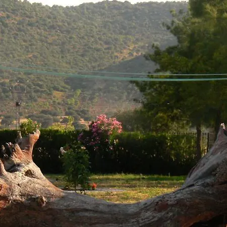 Rural Las Navas Hotel La Morera